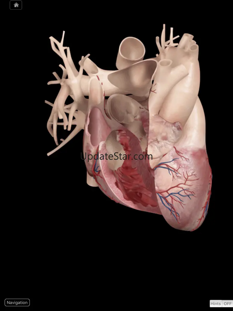 Heart Pro III 3.8.4