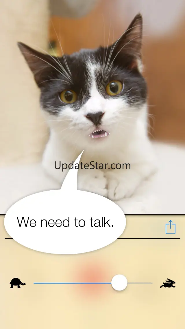 Talkify Pets 1.1