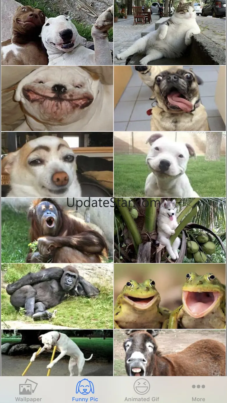 Lovely Animals 1.1