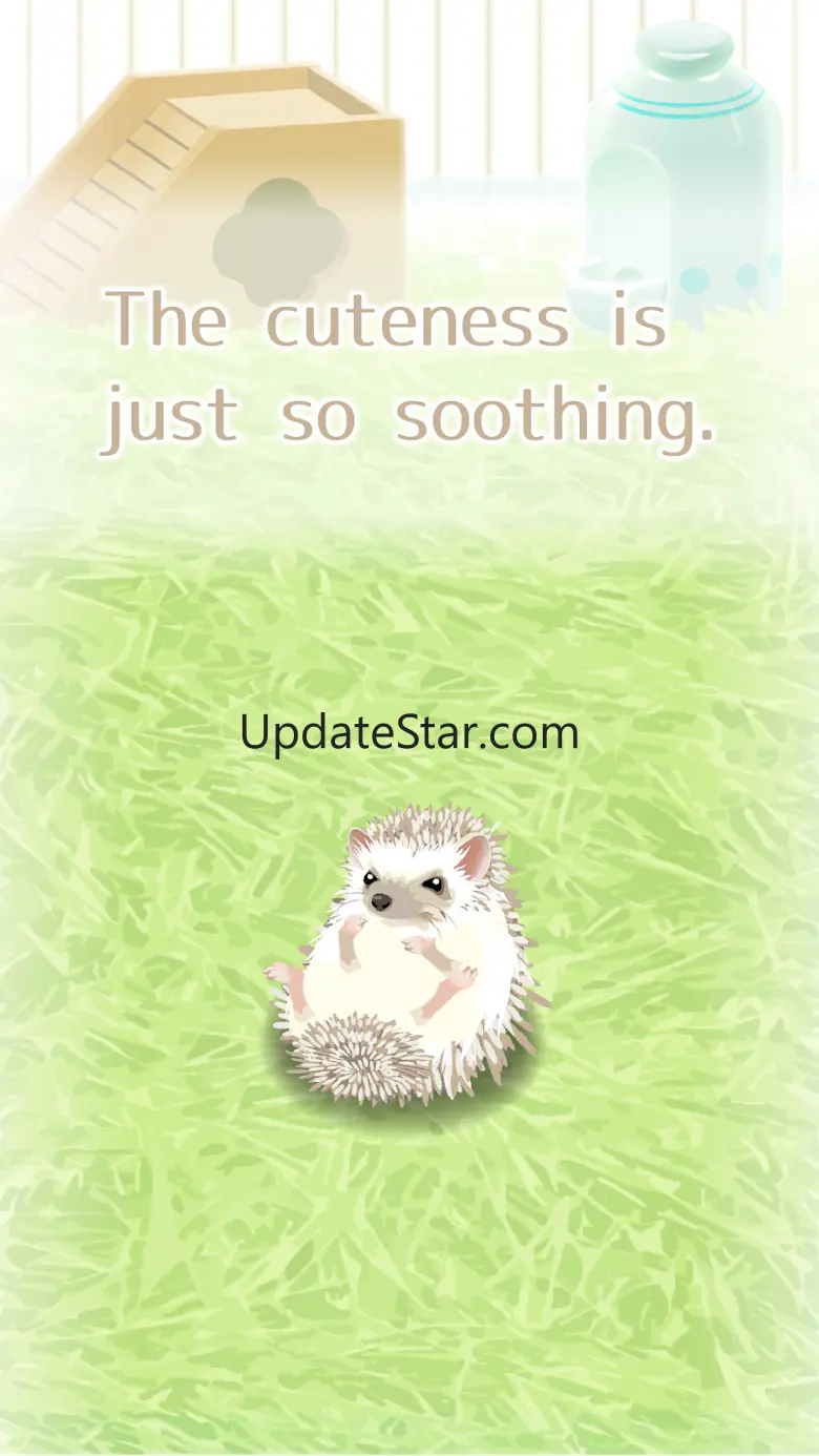 Hedgehog Pet 1.8