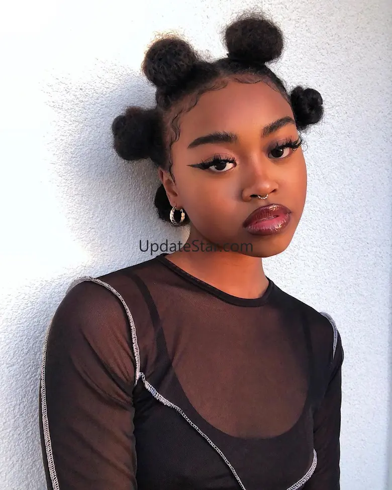 AfroCoiffure: braids inspo 5.3