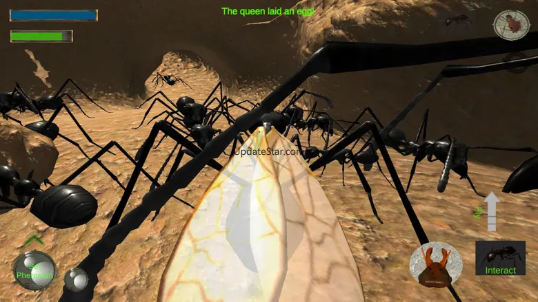 Ant Simulation Full 3.4