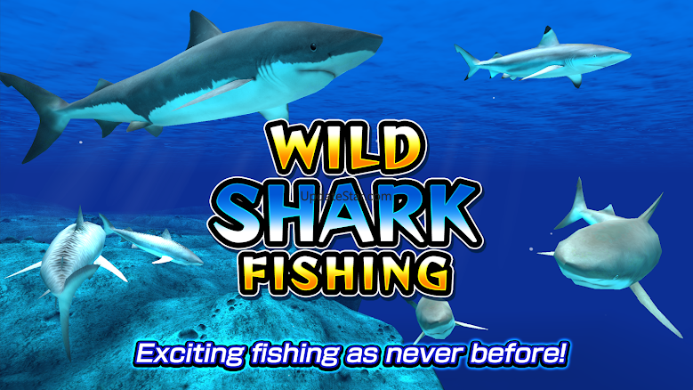 Wild Shark Fishing 1.1.2