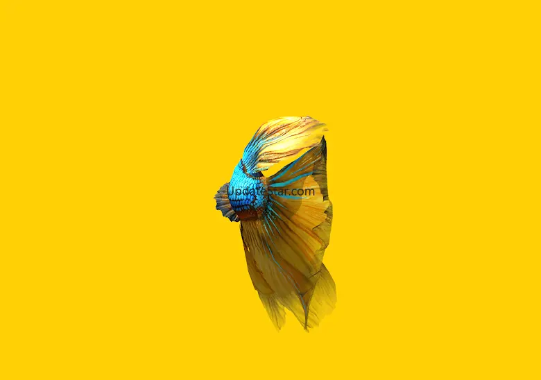 Betta Fish 3D Lite 2.0.8