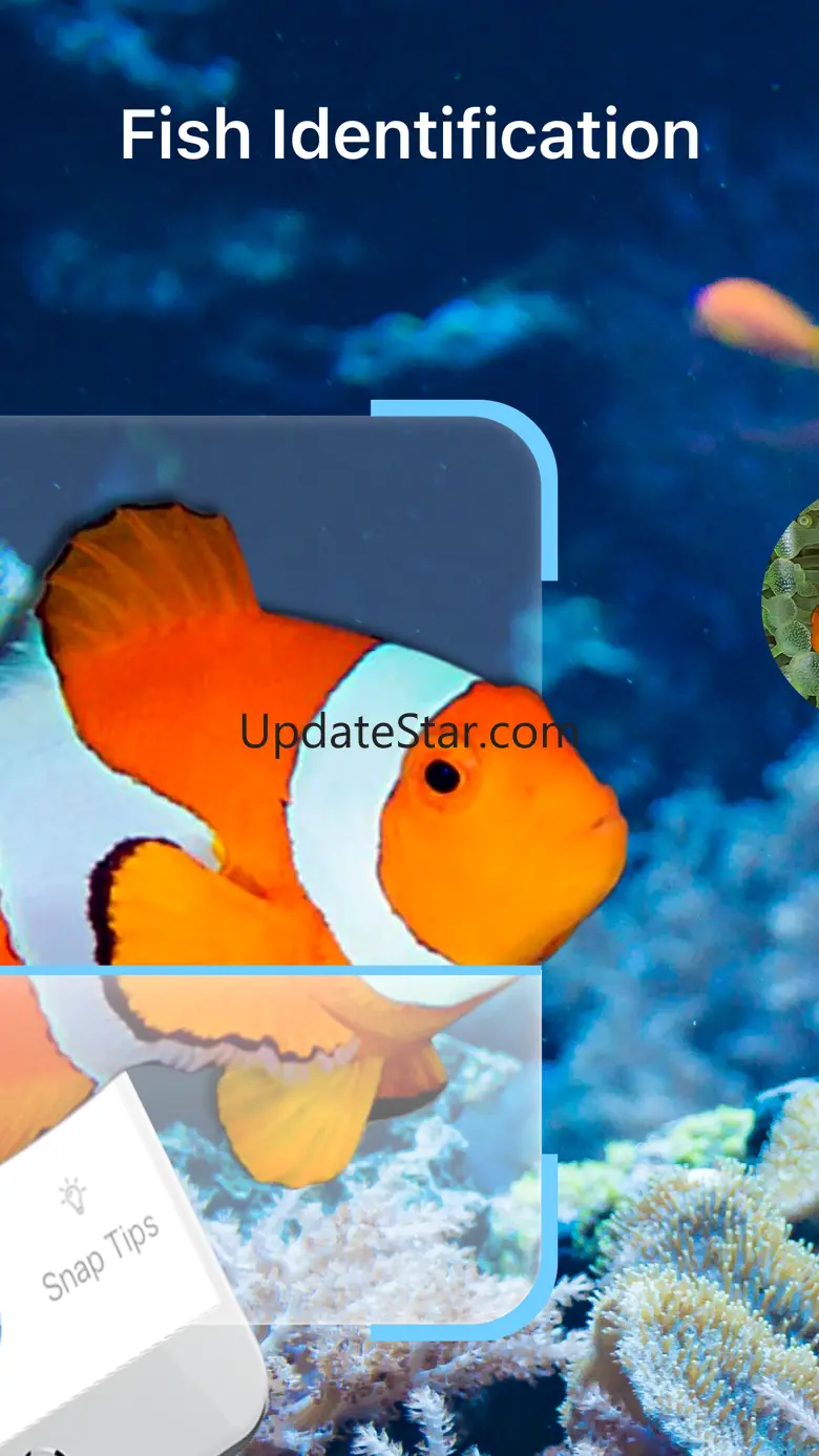 Fish Identification - Fish ID 1.3.1