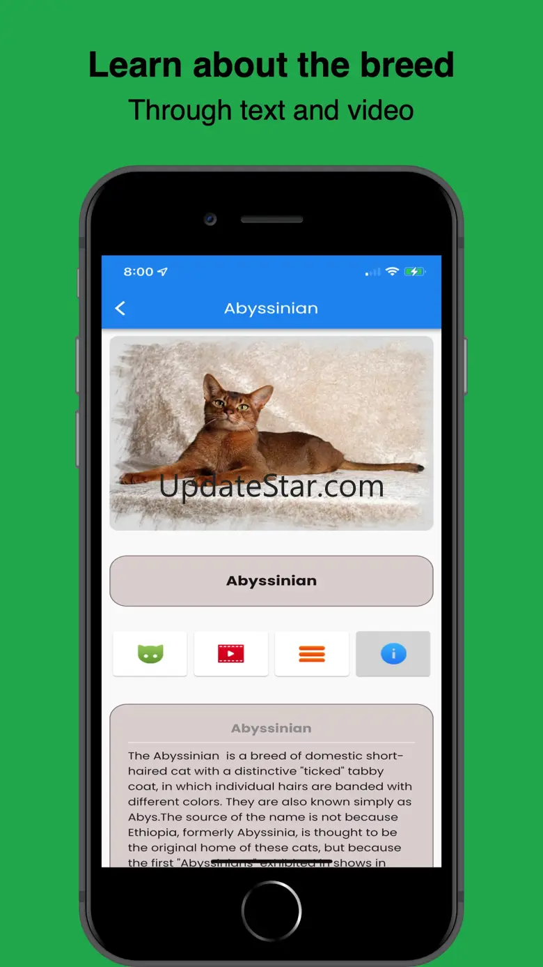 Feline Finder - When Adopting 6.1.0