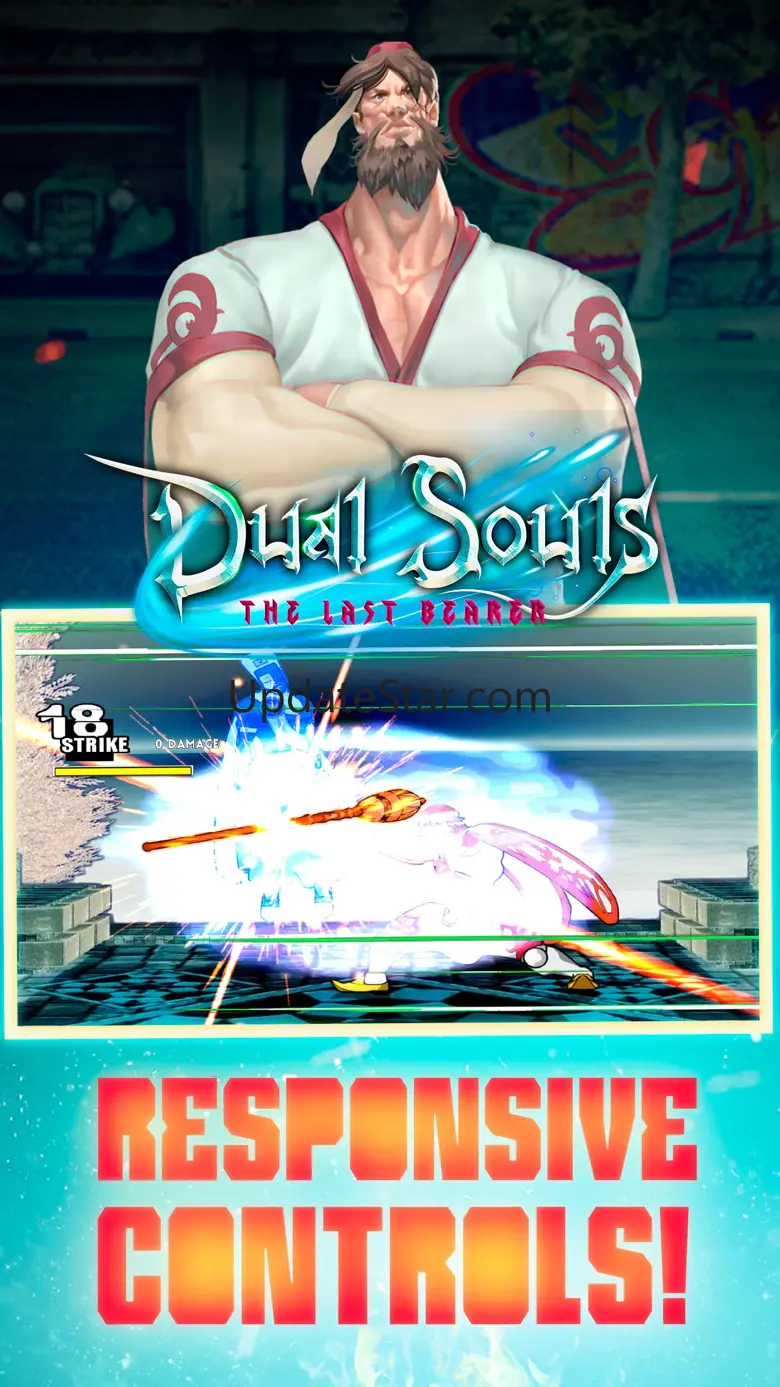 Dual Souls: The Last Bearer 3.300