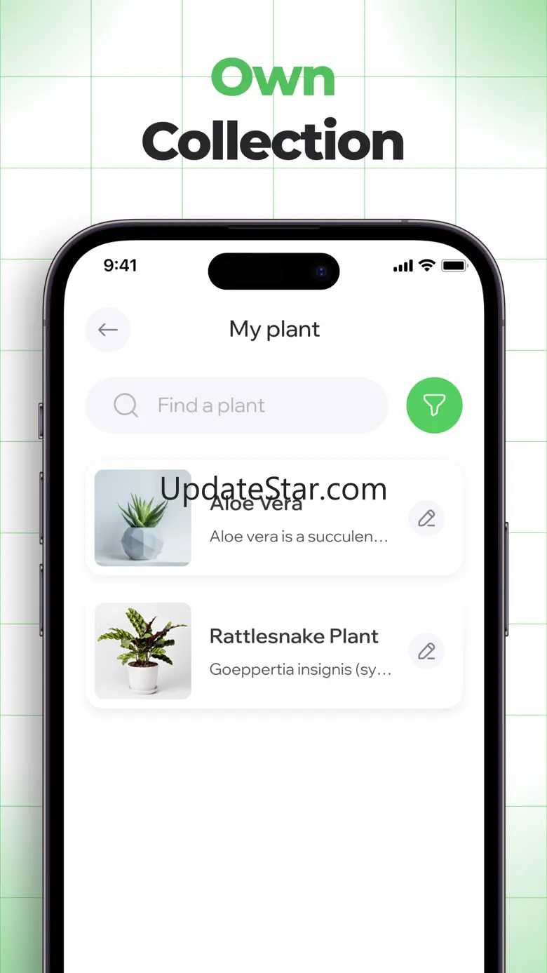 Plant identification: PlantID 1.3
