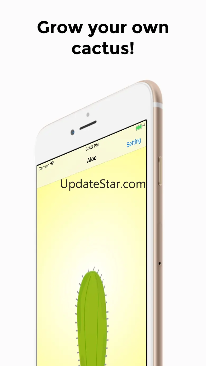 Your Cactus 1.0.4