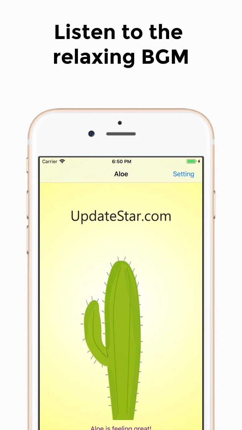 Your Cactus 1.0.4