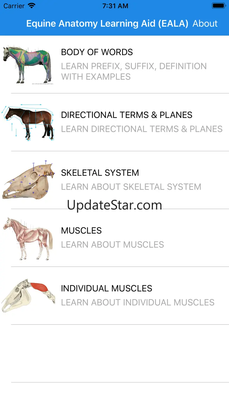 Equine Anatomy Learning Aid 1.5.1