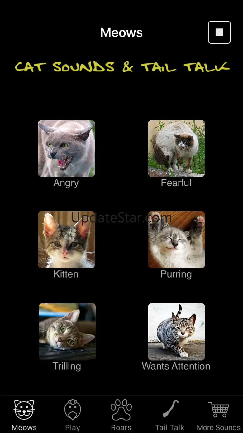 Cat Sounds & Tail Talk 2.5