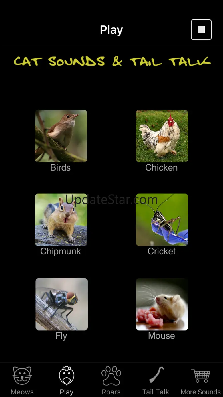 Cat Sounds & Tail Talk 2.5