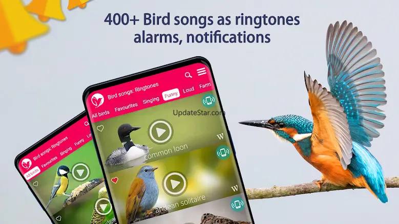 Bird Songs: Ringtones 7.3