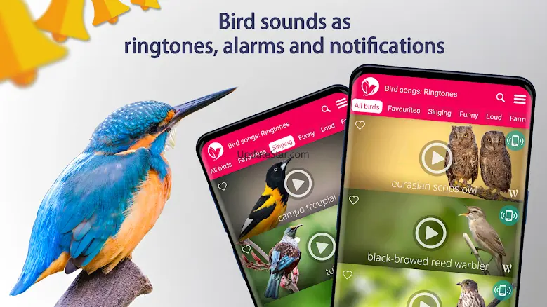 Bird Songs: Ringtones 7.3