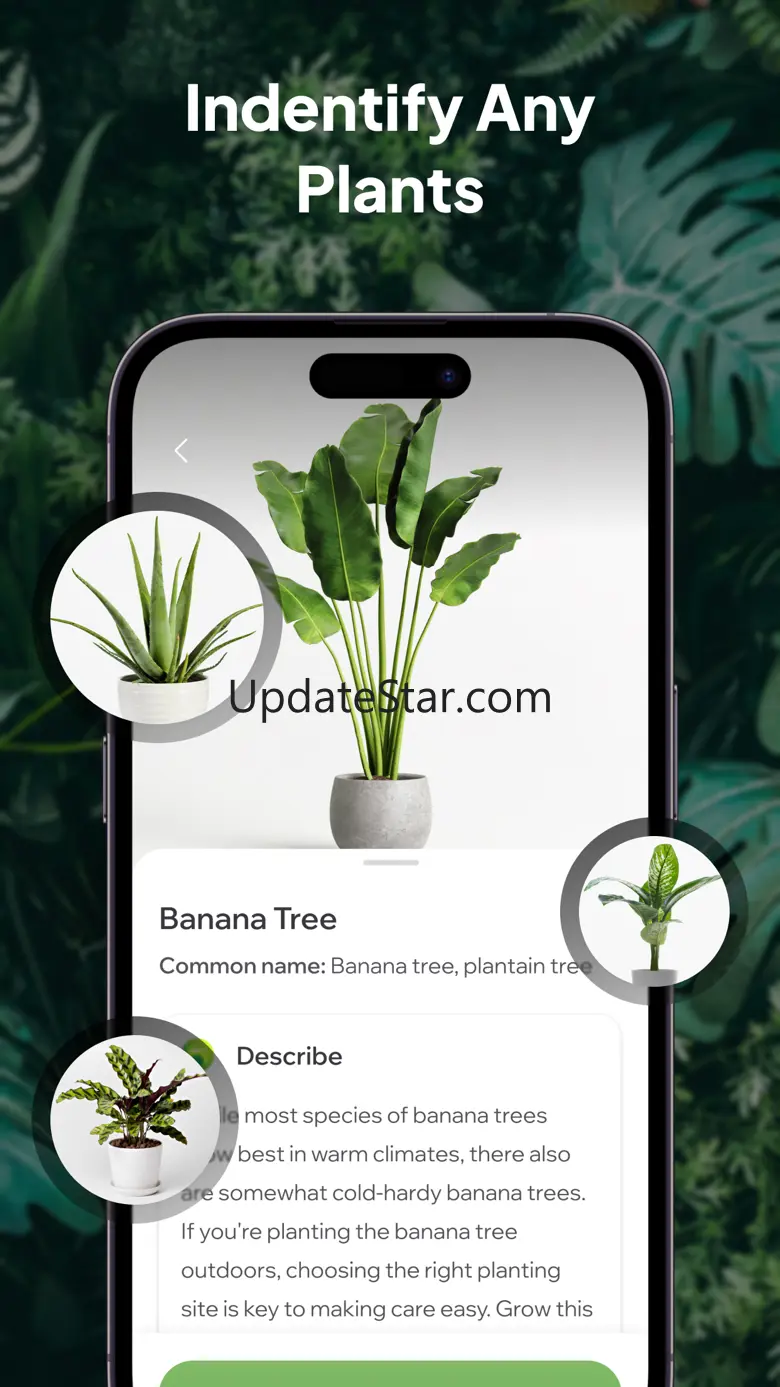 Plant Identifier AI: PlantID++ 1.3