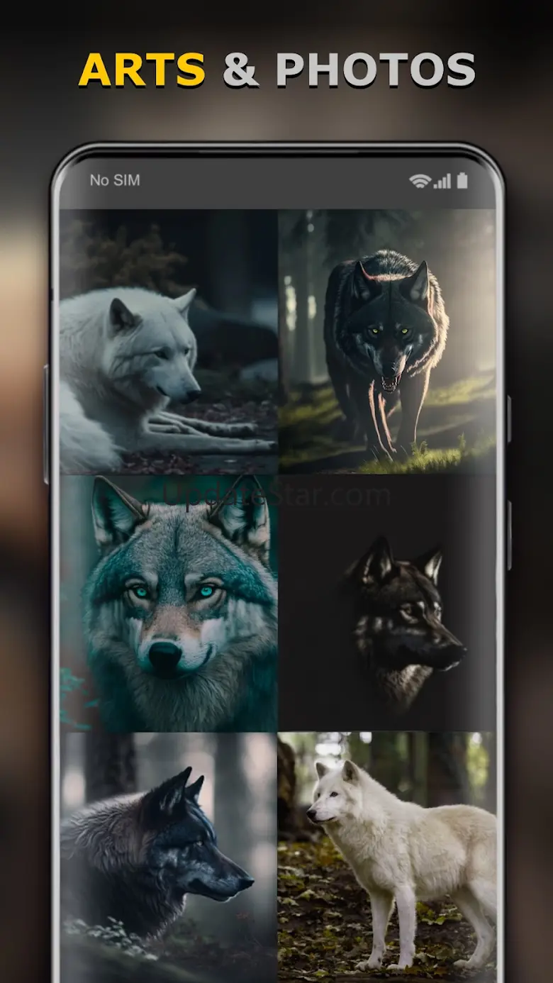 Wolf Wallpaper HD: Backgrounds 20.7