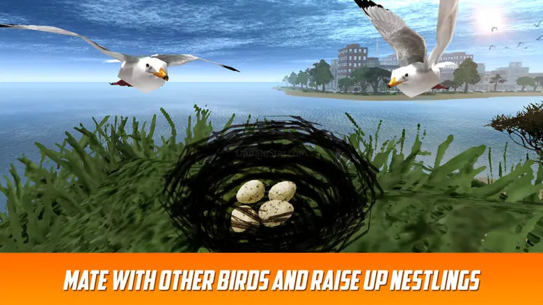 Seagull Bird Survival Simulator 3D 1.0