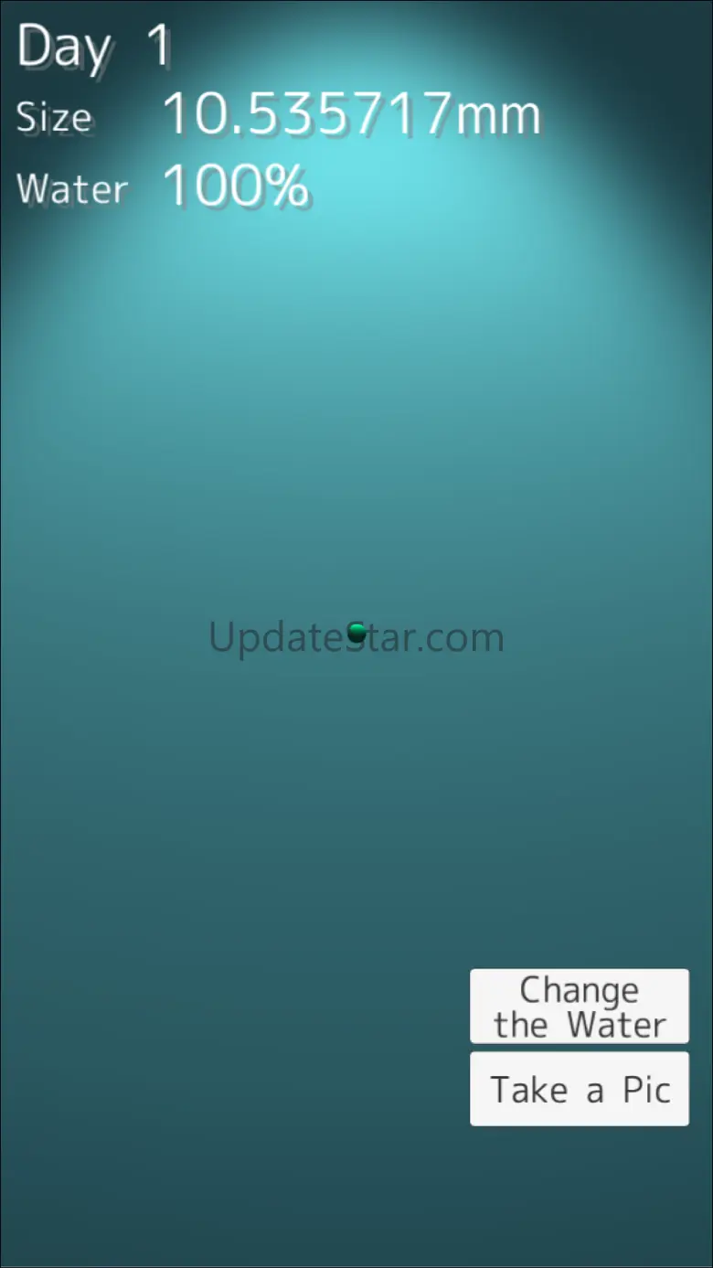 Marimo - Moss Ball Aquarium 1.0