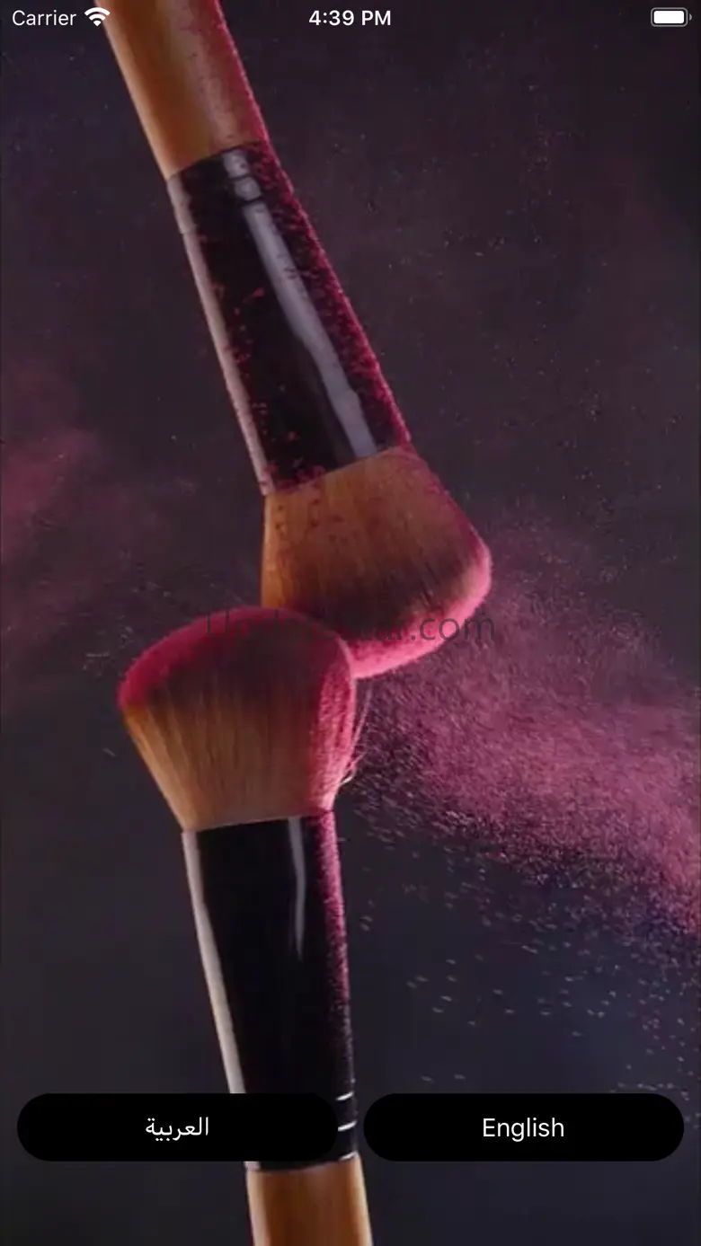 BOB Beauty Lounge 1.5