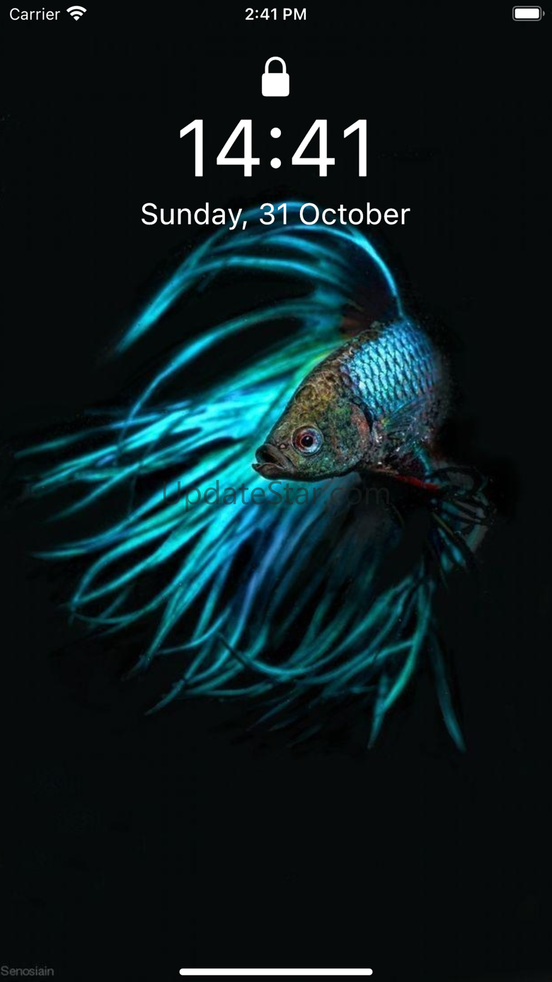 Betta Fish Wallpapers HD ! 1.0