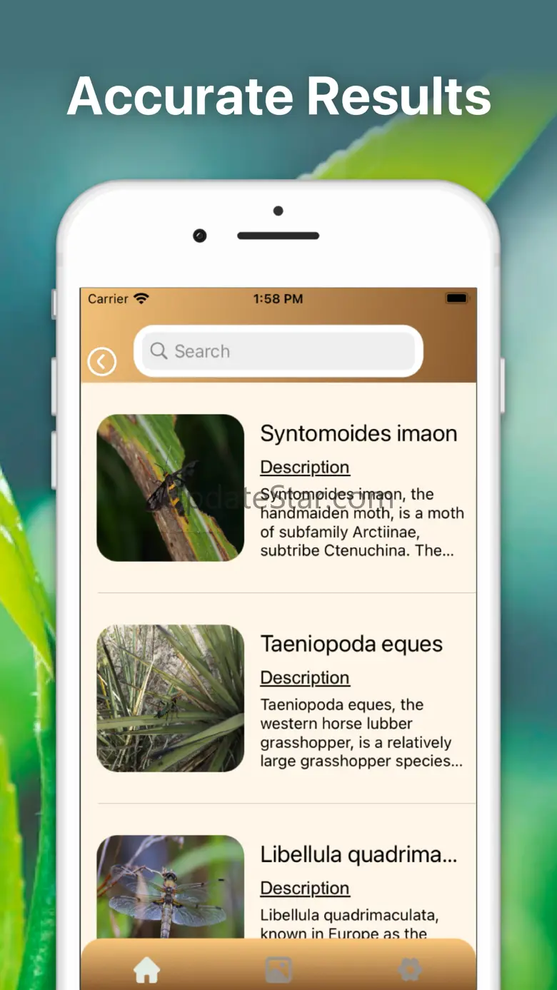 Spider Identifier Bug Finder 1.0.7