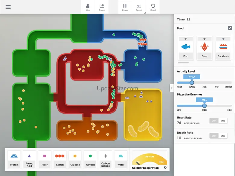 Metabolism Sim 1.11.1