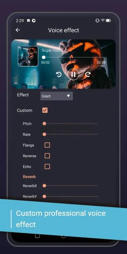 Music editor, Voice modifier 1.61