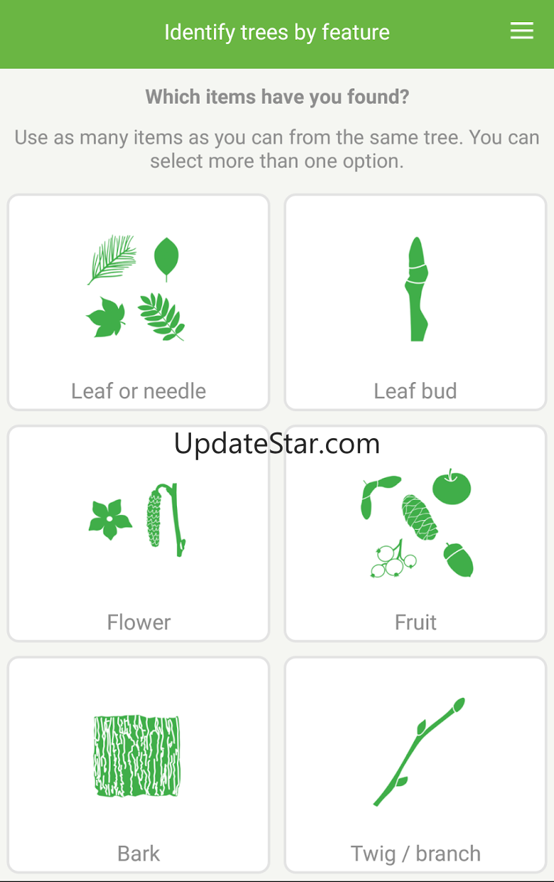 Tree ID - British trees 4.55