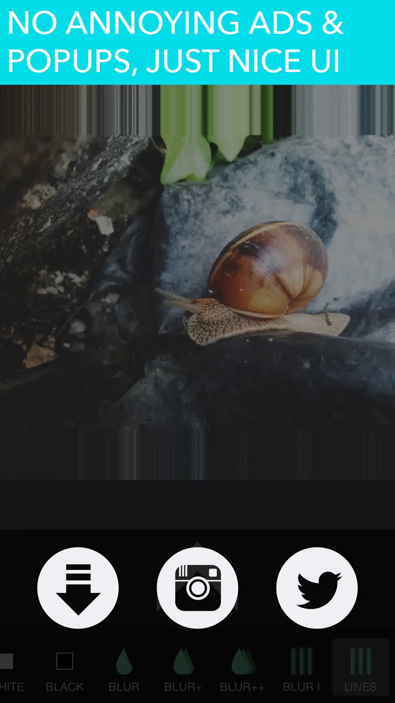 PicFit Square Size - No Crop Editor for Instagram 1.2.4