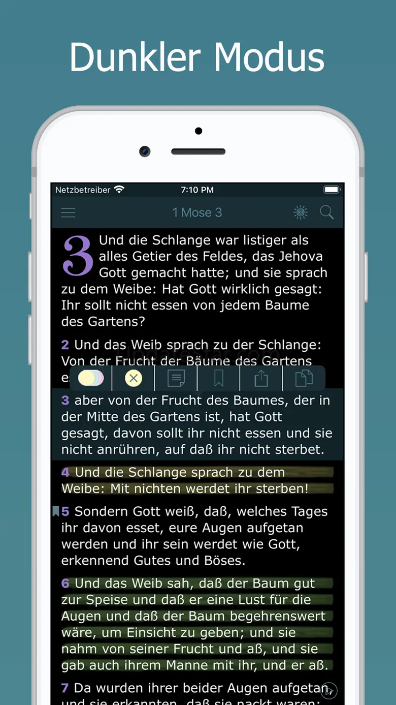 Die Elberfelder Bibel Audio 5.1