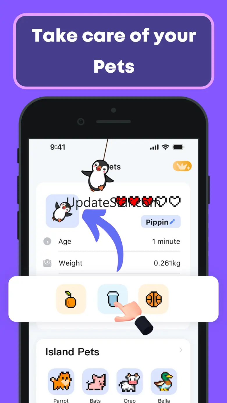 Island Pet & Island Wallpapers 2.1.2