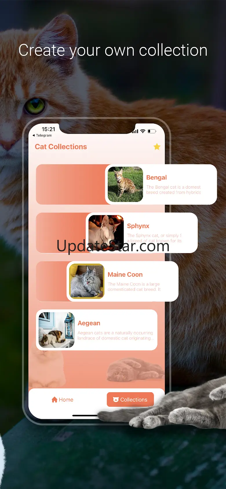 Cat Identifier - Cat Scanner 1.8