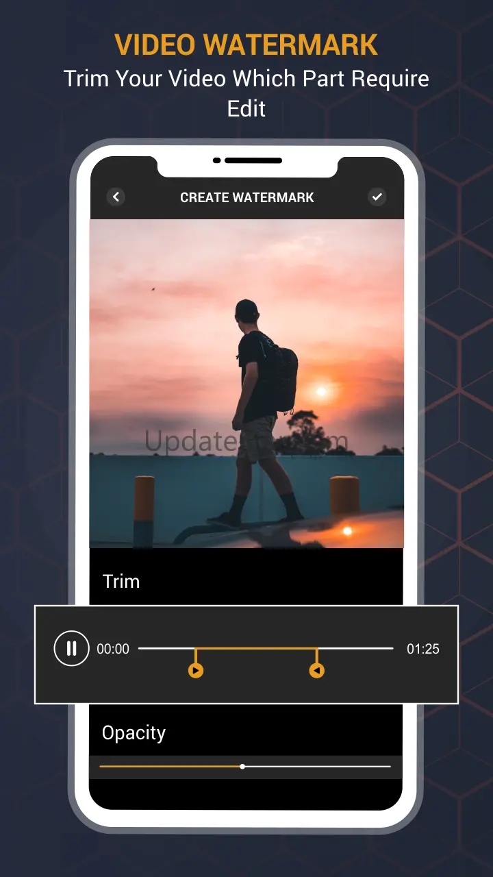 Video Watermark