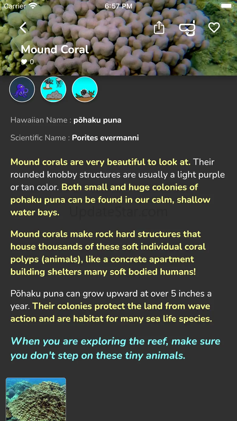 Hawaii SeaLife 1.3.3