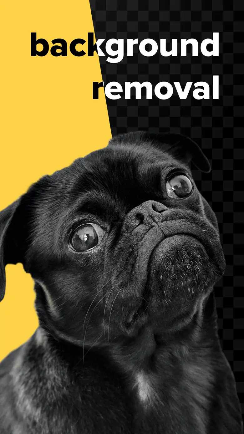 Eraser AI: Easy photo cut out 1.4