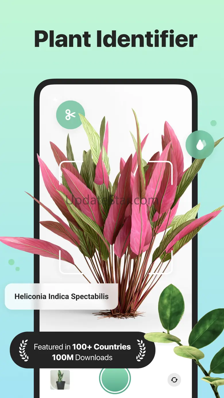 The Plant Identifier & Care 1.0