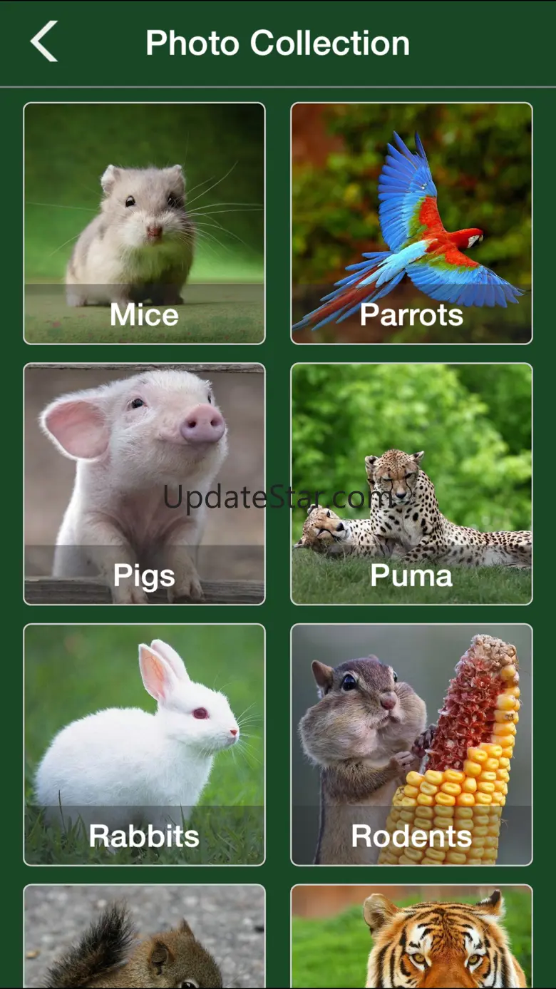 Animal Jigsaw Puzzle - Ultimate swap tile game edition 1.2