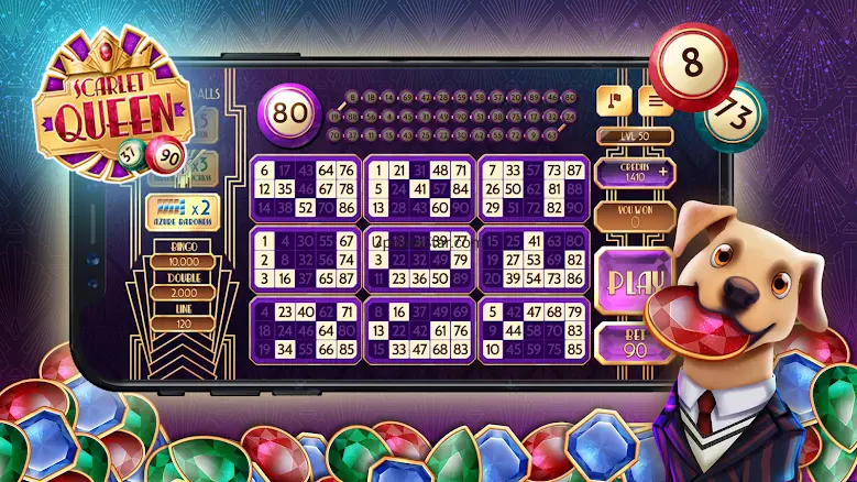 Bingo Rex 42.11.01