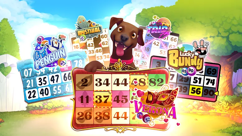 Bingo Rex 42.11.01