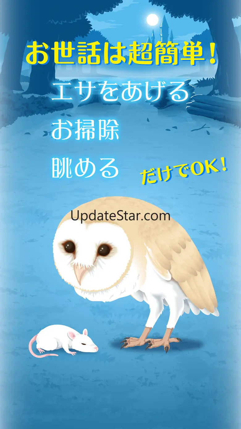 Owl Simulation Game 1.0