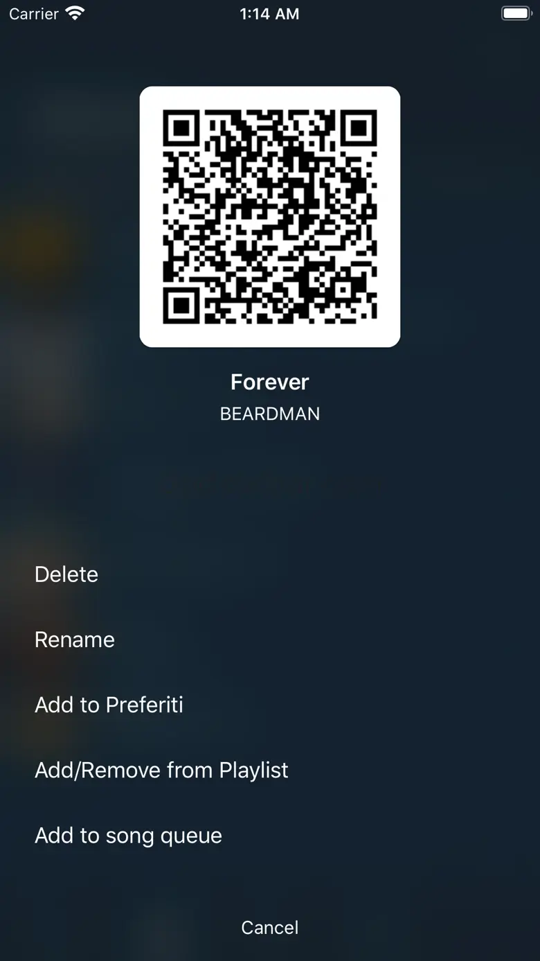 MusiDown 1.0.4