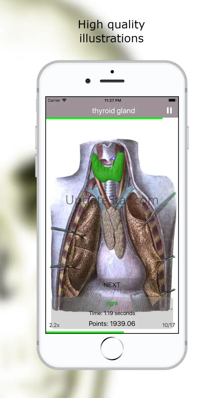 Anatomy Quiz Lite 3.4.2