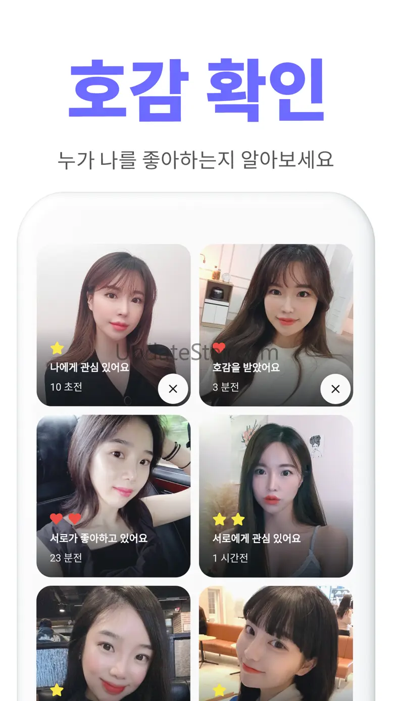 블리 - 새로운 동네친구가 필요할 때 14.0