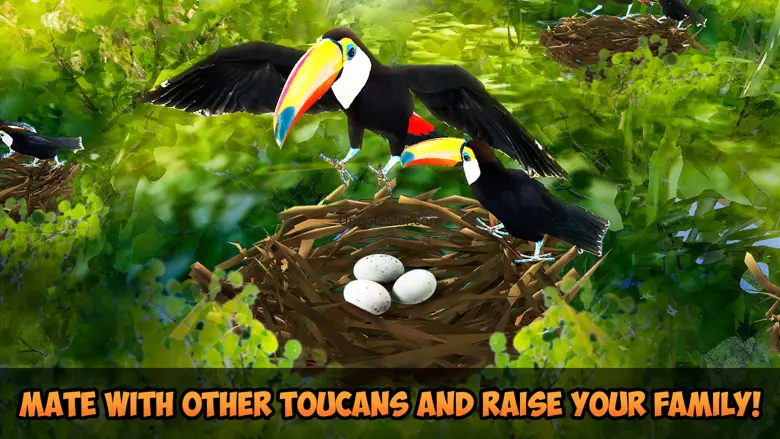 Toucan Simulator 3D: Bird Life 1.0
