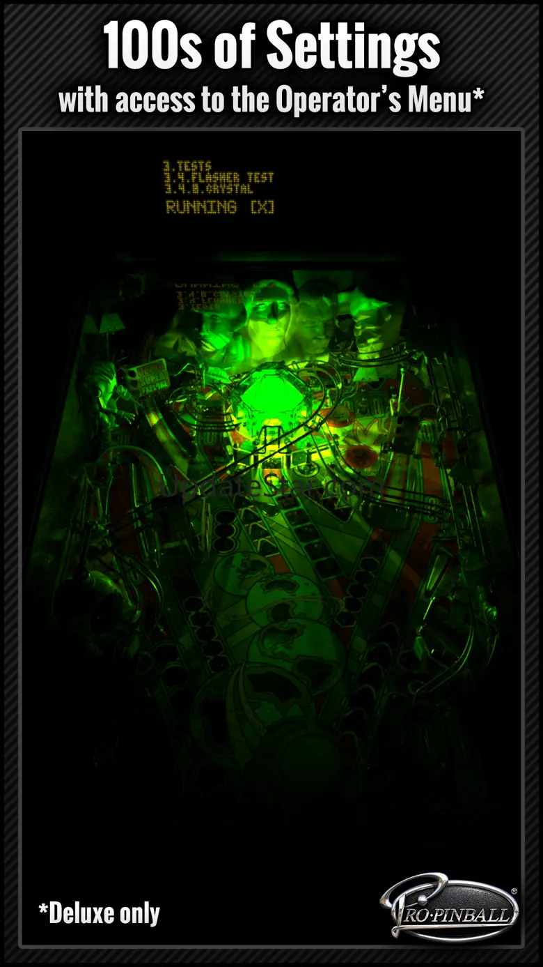 Pro Pinball