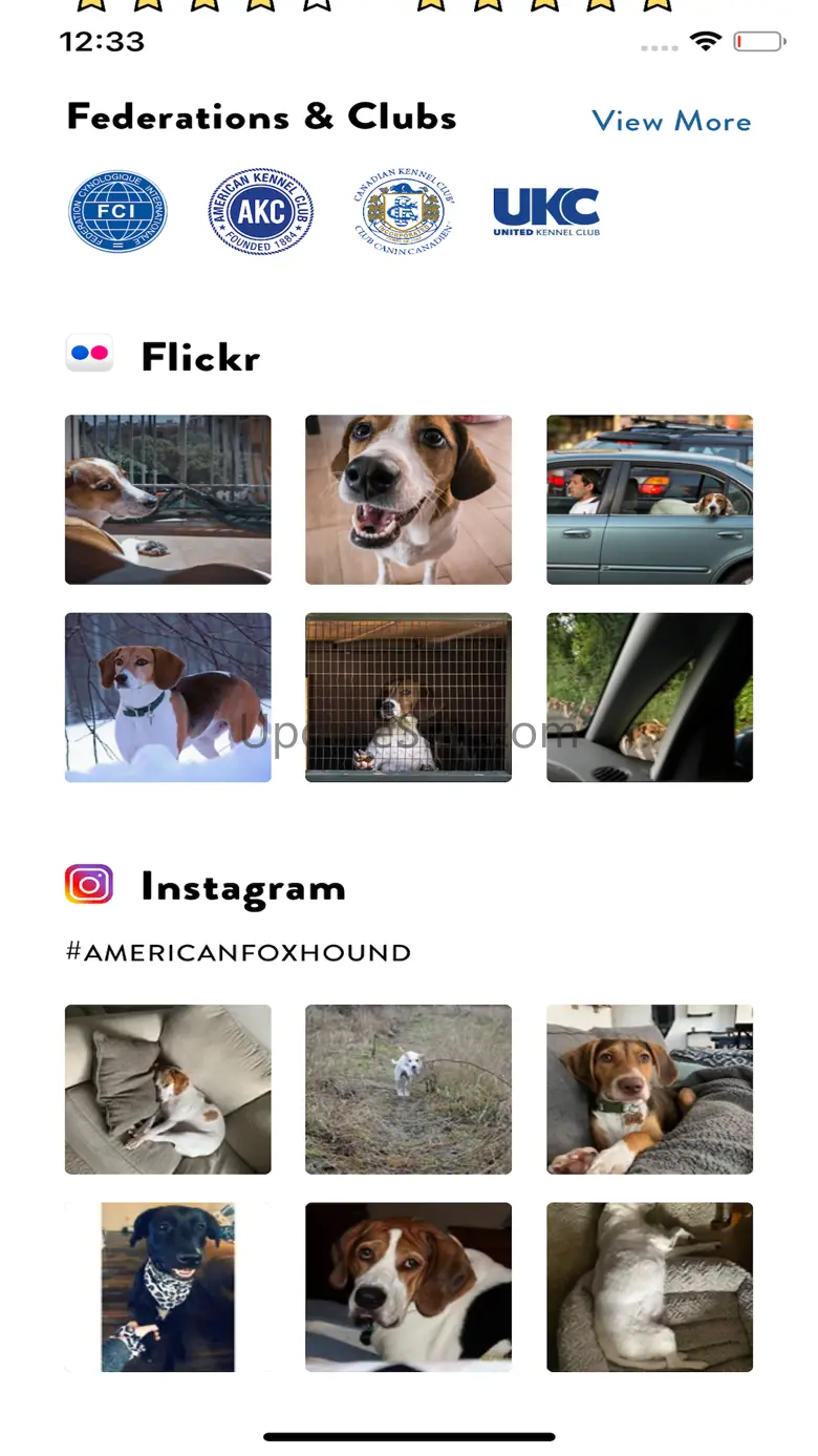 Dogs Pedia: Breed identifier 1.3.0