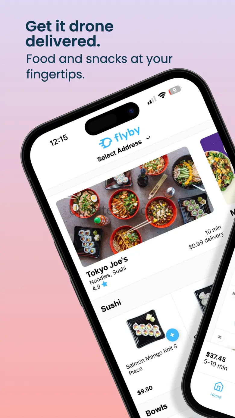 Flyby: Drone Delivery 10.0.4