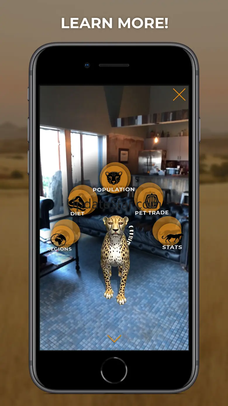 Virtual Cheetah 1.04