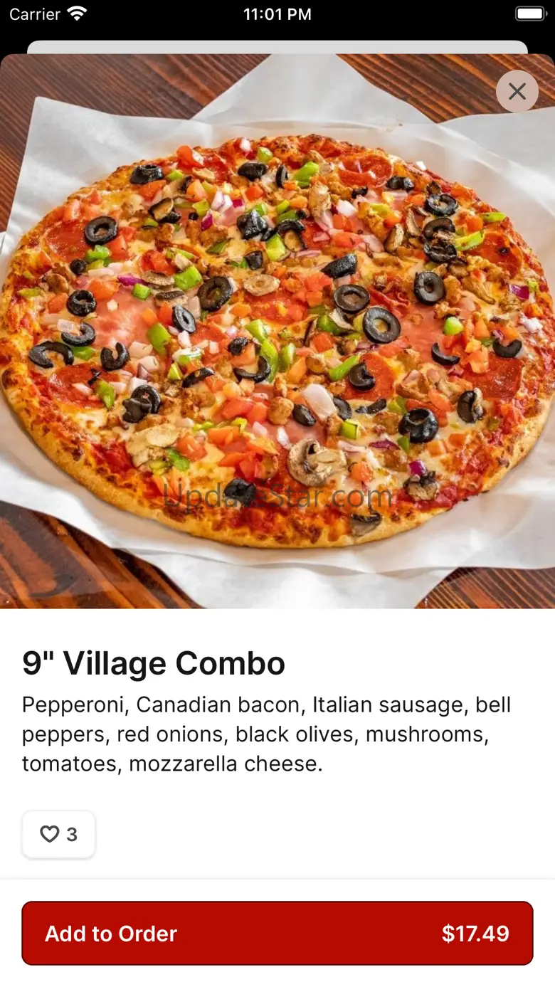 Village Pizza LLC 31.0.0